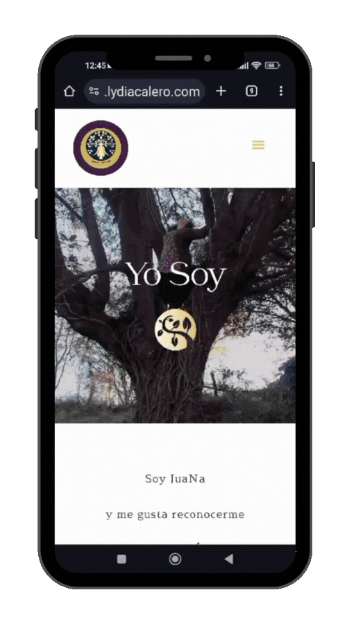 video mockup movil raquel torres coach familiar