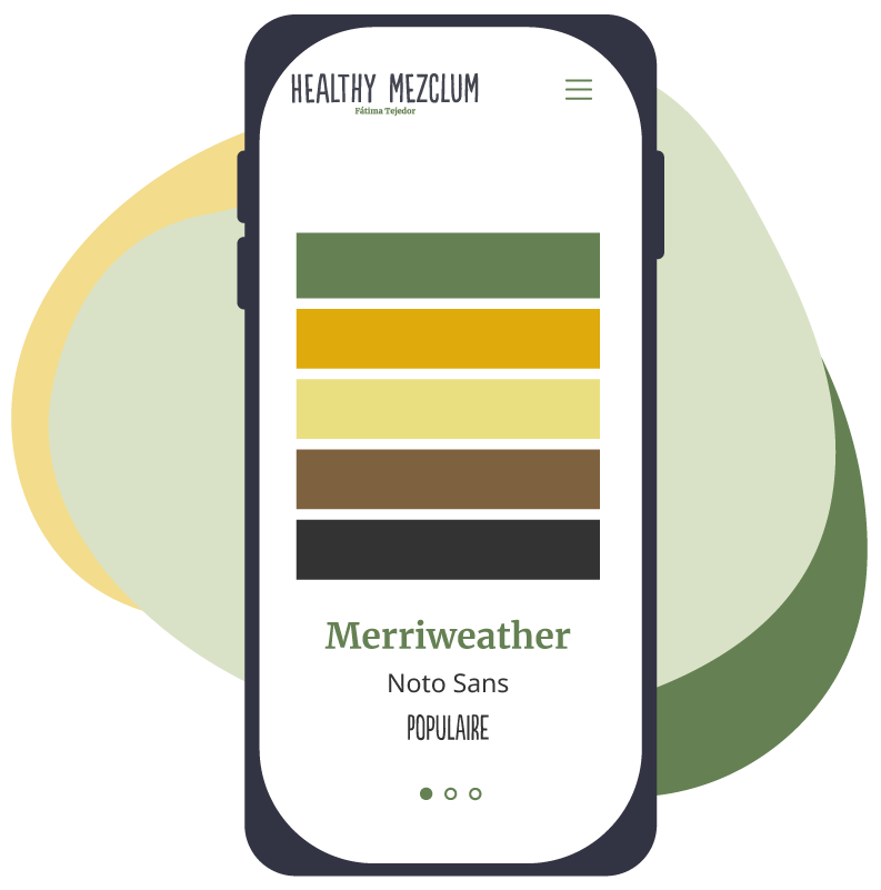 mockup-portfolio-branding-healthymezclum-1a